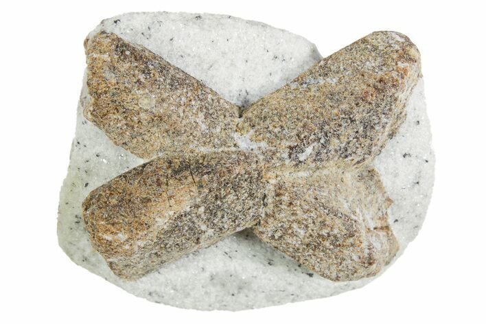 Twinned Staurolite Cross In Glittering Mica-Schist - Russia #356593